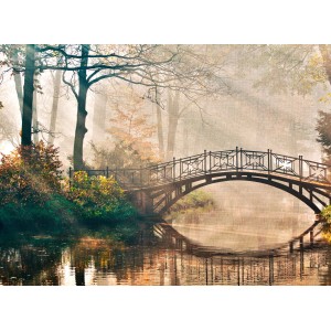 Fototapete: Brücke über Fluss im Wald, grüne und braune Naturlandschaft.