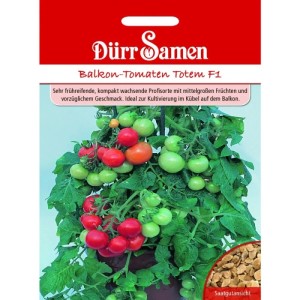 Dürr Samen Balkontomaten Totem F1 Saatgut