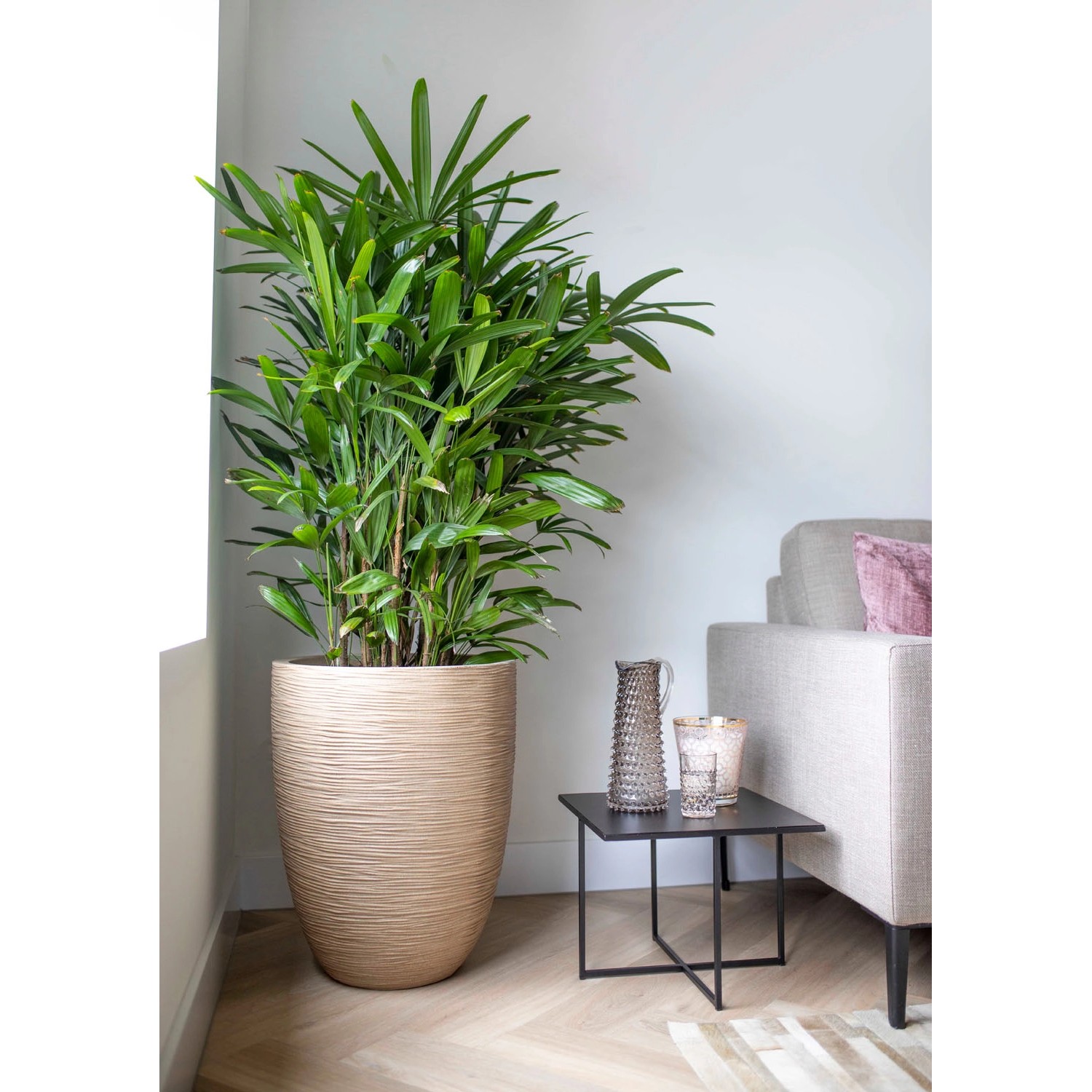 Beiger Capi Übertopf Waste Rib Terrazzo, 34x46 cm, mit Pflanze im Wohnraum.