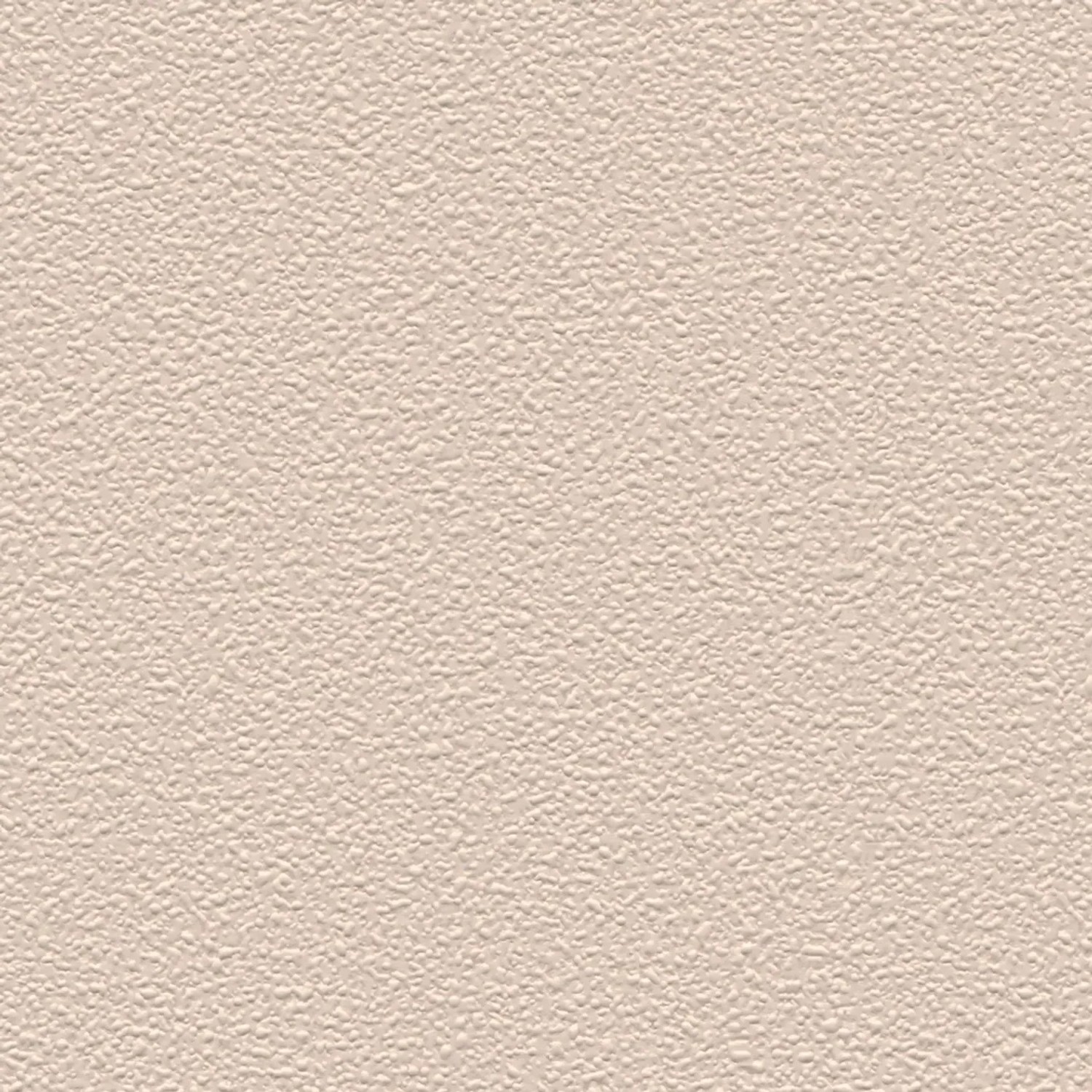 A.S. Création Vliestapete Meistervlies Protect Color Beige mit Putzstruktur.
