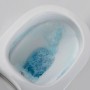 Spülrandloses Dusch-WC von Glasdeals mit Softclose-Sitz und Taharet-Funktion.