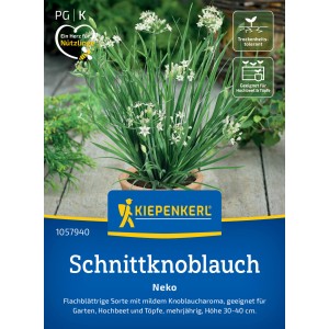 Kiepenkerl Schnittknoblauch Neko im Topf mit weißen Blüten.