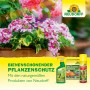 Neudorff Pflanzenschutzmittel gegen Spinnmilben, Wollläuse und Schildläuse für Zierpflanzen.