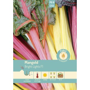 Saatgut-Packung: Pabst Keimkraft Mangold Buntstielig Bright Lights F1 mit farbigen Stielen.