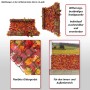 PROREGAL Balkonsichtschutz 100x300x1cm Zaun Blatt Hell_7