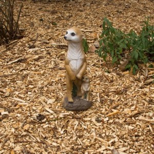 VERDOBA Gartendeko Safari Gartenfigur Erdmännchen mit Baby