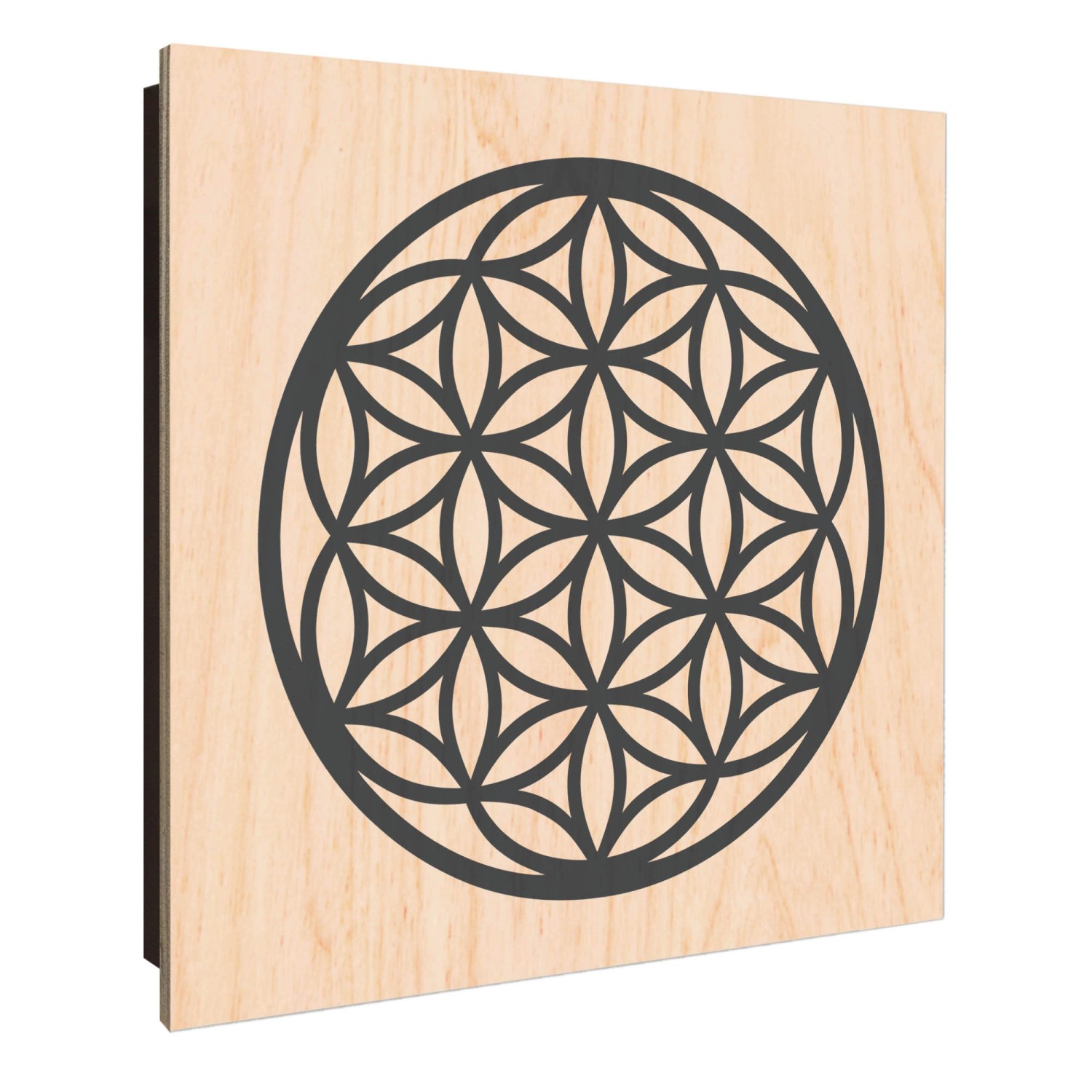 Banjado Großer Schlüsselkasten Holz 30x30cm Schwarz Scharnier Links 50 Hake günstig online kaufen