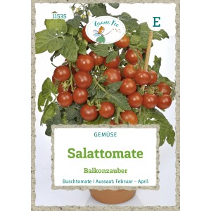 Grüne Fee Salattomate Balkonzauber Saatgut mit reifen, roten Tomaten und grünen Blättern.