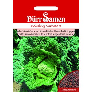 Dürr Samen Wirsing Vorbote: Saatgutpackung mit Wirsingkopf und Samendarstellung.