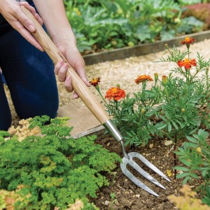 Kent & Stowe Handgabel Lang im Einsatz: Gartenhandgerät mit Eschenholzgriff und Edelstahlzinken.