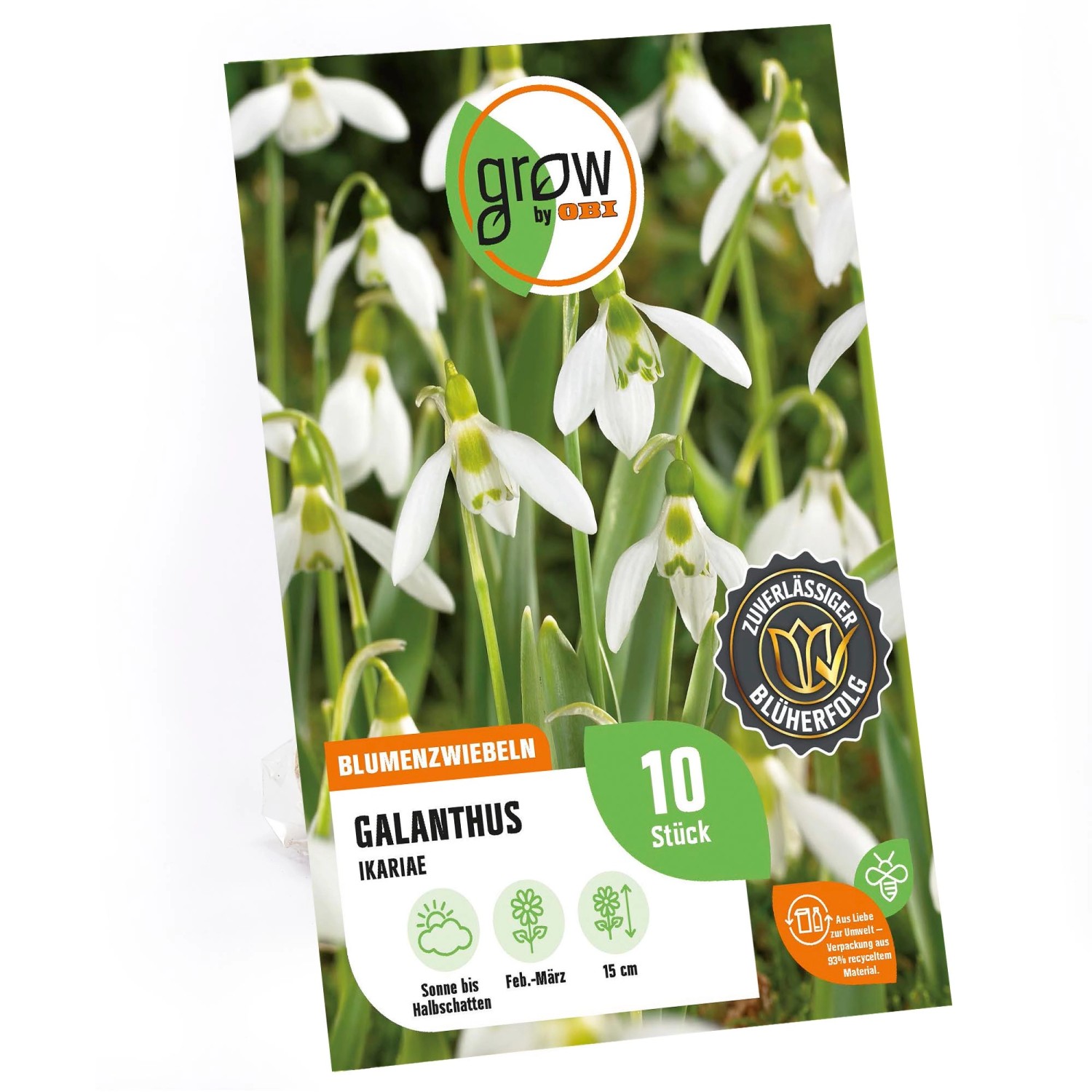 GROW by OBI IkariaSchneeglöckchen Weiß 15 cm Galanthus ikariae kaufen