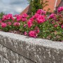 Diephaus Mauerstein Maximo Kina Granit als Beeteinfassung mit blühenden Rosen.