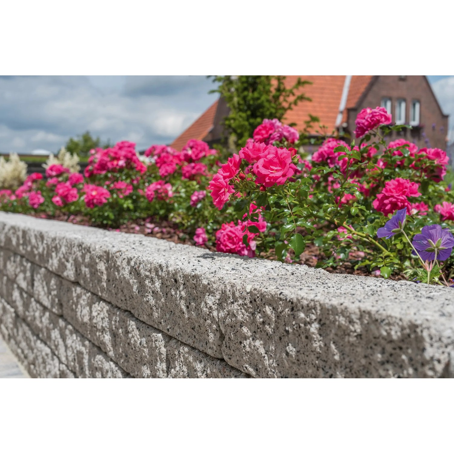 Diephaus Mauerstein Maximo Kina Granit als Beeteinfassung mit blühenden Rosen.