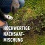 Rasen nachsäen: Person sät Compo Saat Rasen-Nachsaat zur Reparatur von Rasenflächen.