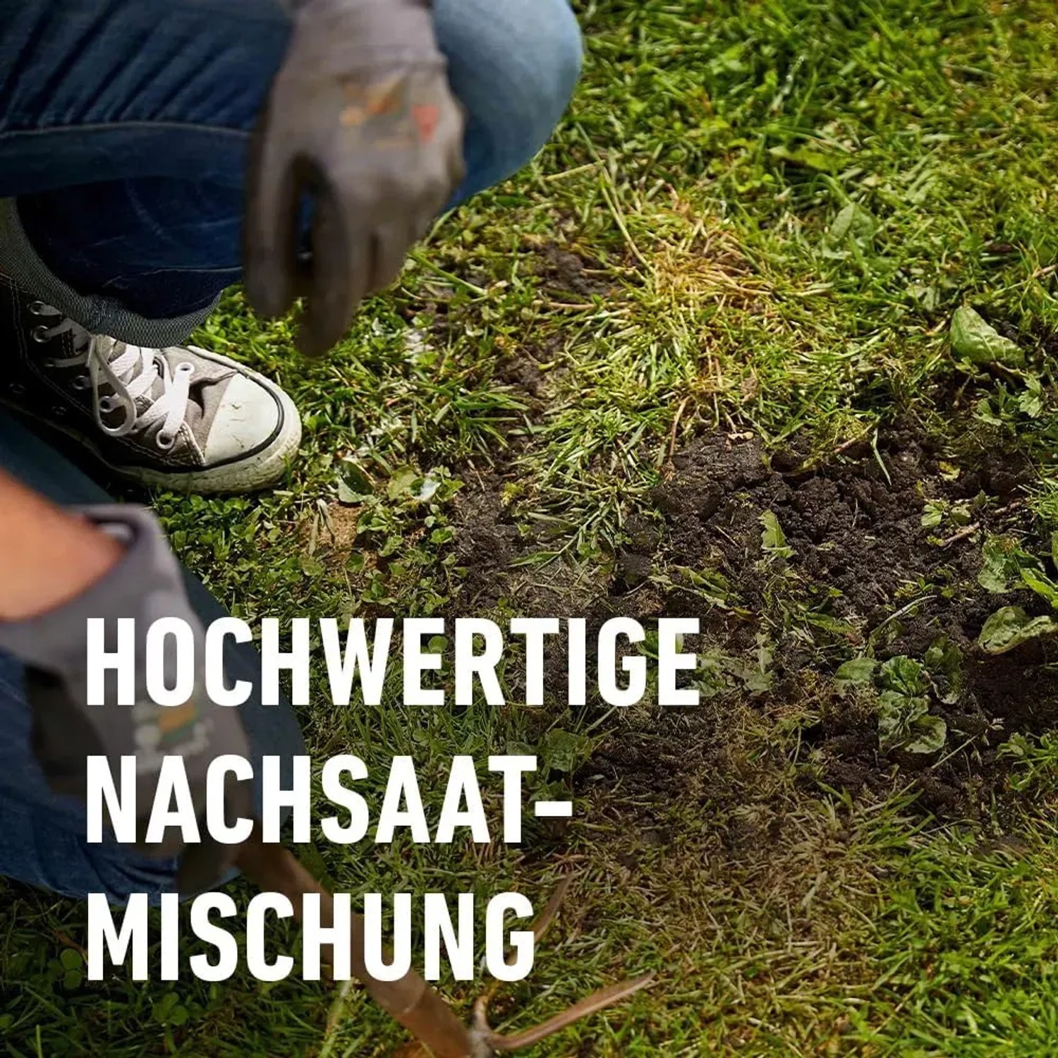 Rasen nachsäen: Person sät Compo Saat Rasen-Nachsaat zur Reparatur von Rasenflächen.