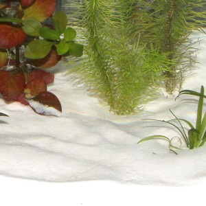 JBL Sansibar Snow, weißer Aquarium Bodengrund, 5 kg Packung.