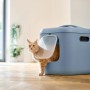 Rotho Katzentoilette Biala XL in Horizotblau mit Katze.