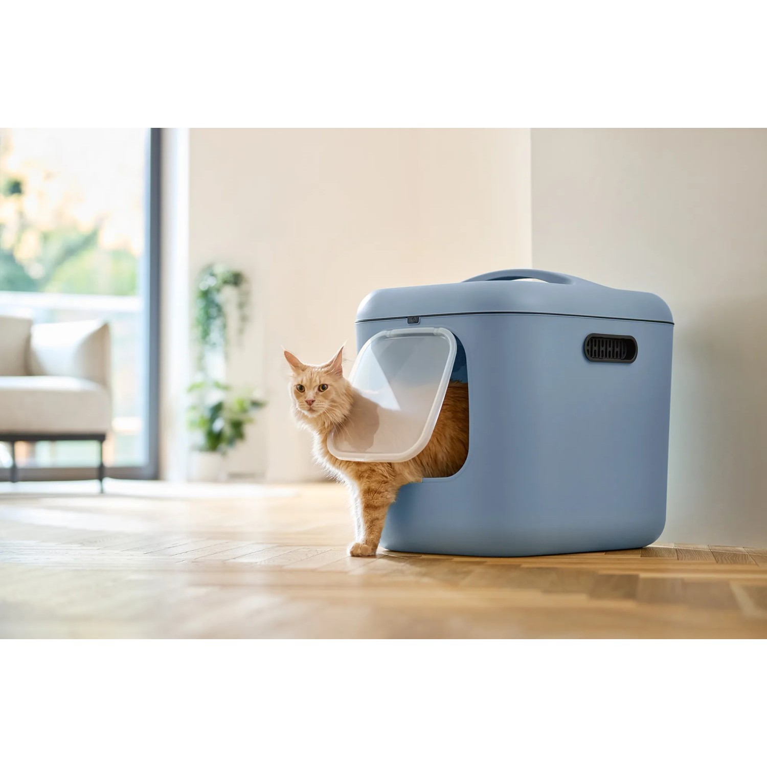 Rotho Katzentoilette Biala XL in Horizotblau mit Katze.