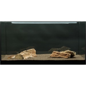 Aquarium mit Deko-Set: Wurzelholz und Pflanzenpad für 80-120 cm Becken.