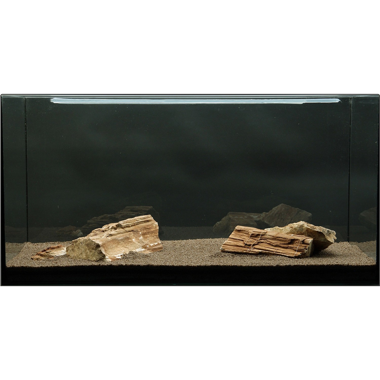 Aquarium mit Deko-Set: Wurzelholz und Pflanzenpad für 80-120 cm Becken.
