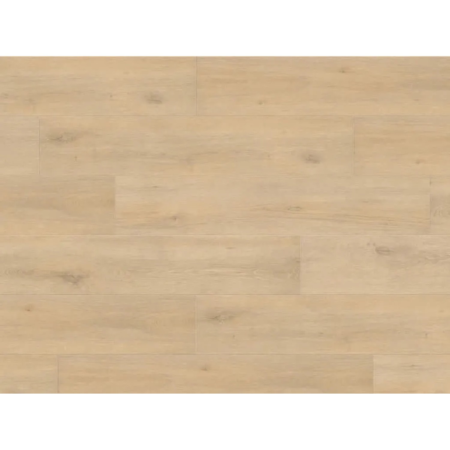 HARO Laminat Eiche Jubilé Puro Authentic Matt Tritty 100 Campus Landhausdiele