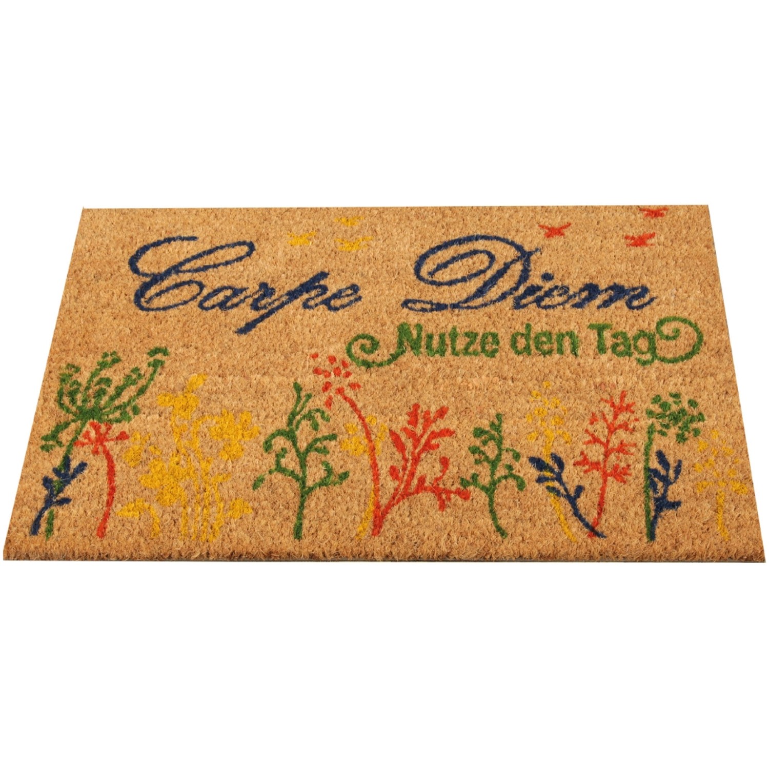 Bestlivings Kokos Fußmatte 40 x 60 cm Carpe Diem Bunt günstig online kaufen