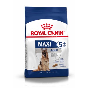 Royal Canin Maxi Adult 5+ Trockenfutter für große, ältere Hunde im 15 kg Sack.