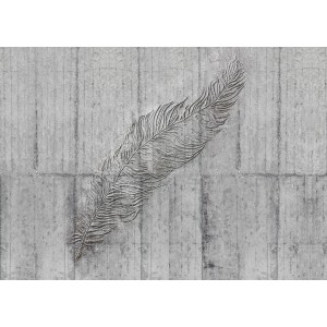 Komar Vliesfototapete Concrete Feather: Feder-Motiv auf Betonwand, 350x250 cm.