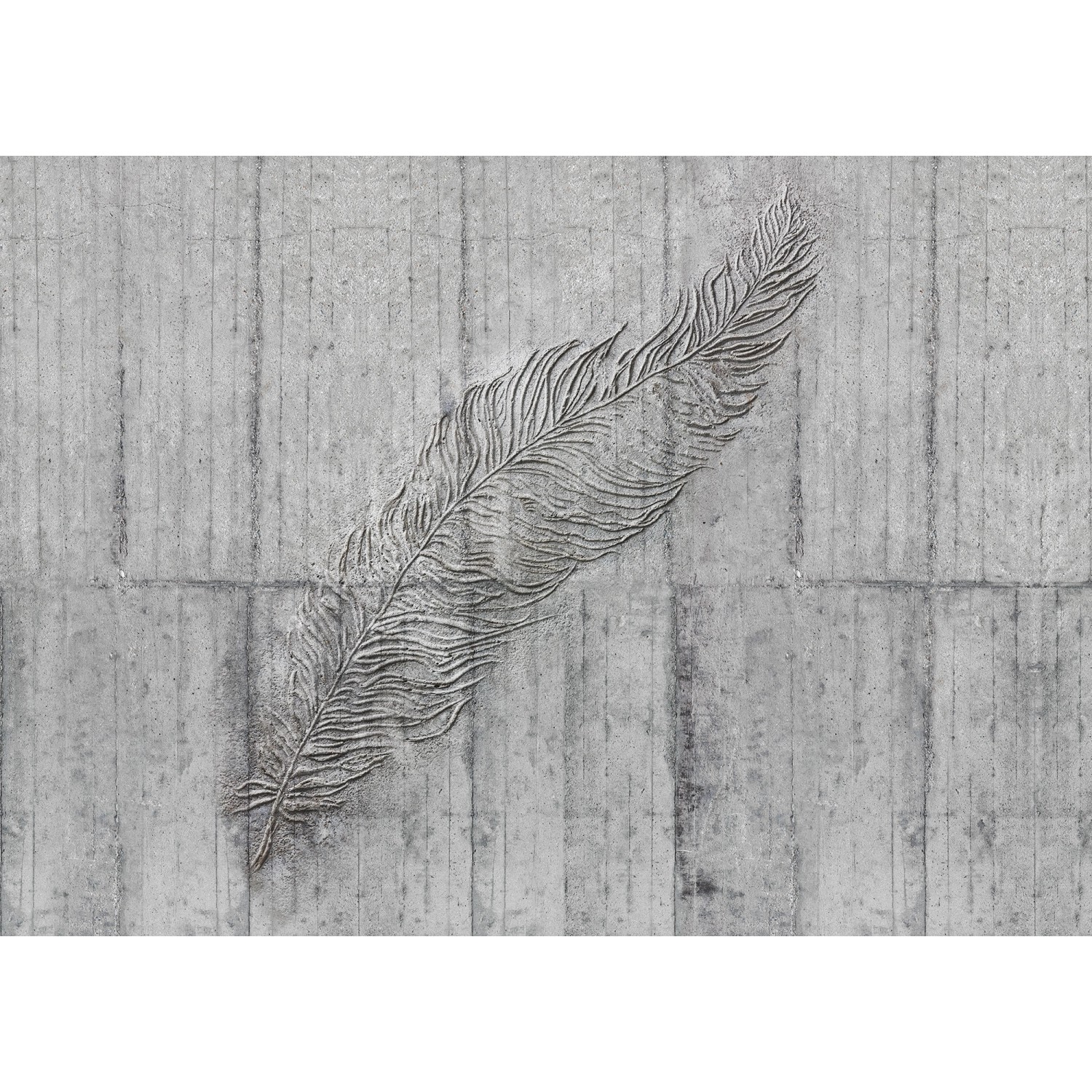 Komar Fototapete Concrete Feather B/L: ca. 350x250 cm günstig online kaufen