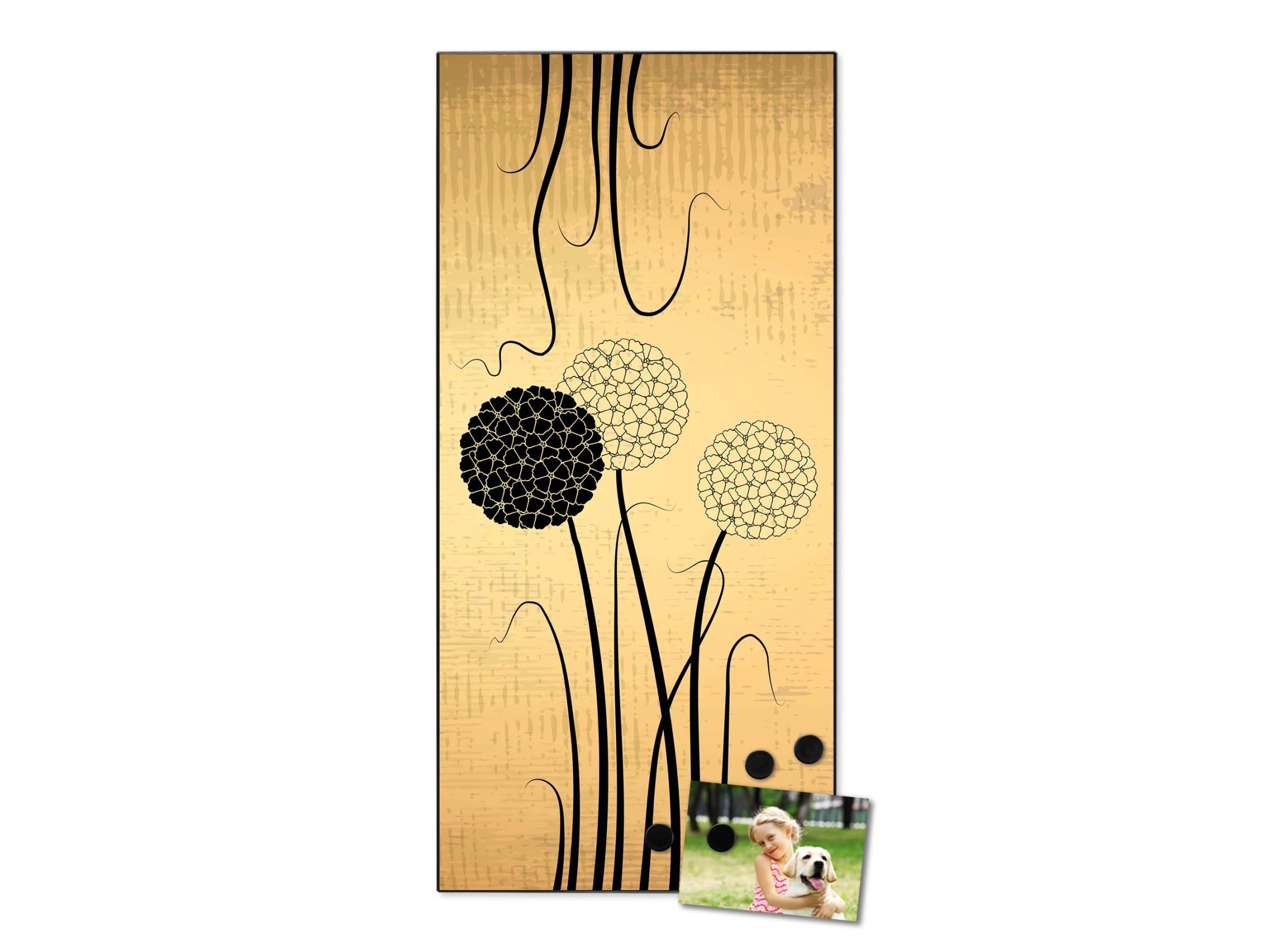 Banjado® Magnettafel 30x75 Cm – Motiv Zwiebel Vintage, Inkl. 4 Magnete & Montageset