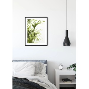 Komar Wandbild Reed Leaves, 40x50 cm, mit grünem Schilfgras Motiv im schwarzen Rahmen.