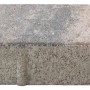 Rechteckiger Beton Pflasterstein Jura-Nuanciert, 20x10x6 cm, für Gartenwege und Einfahrten.