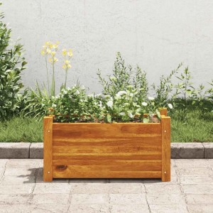 Rechteckiges vidaXL Hochbeet aus Akazienholz (50x25x25 cm) mit Bepflanzung.
