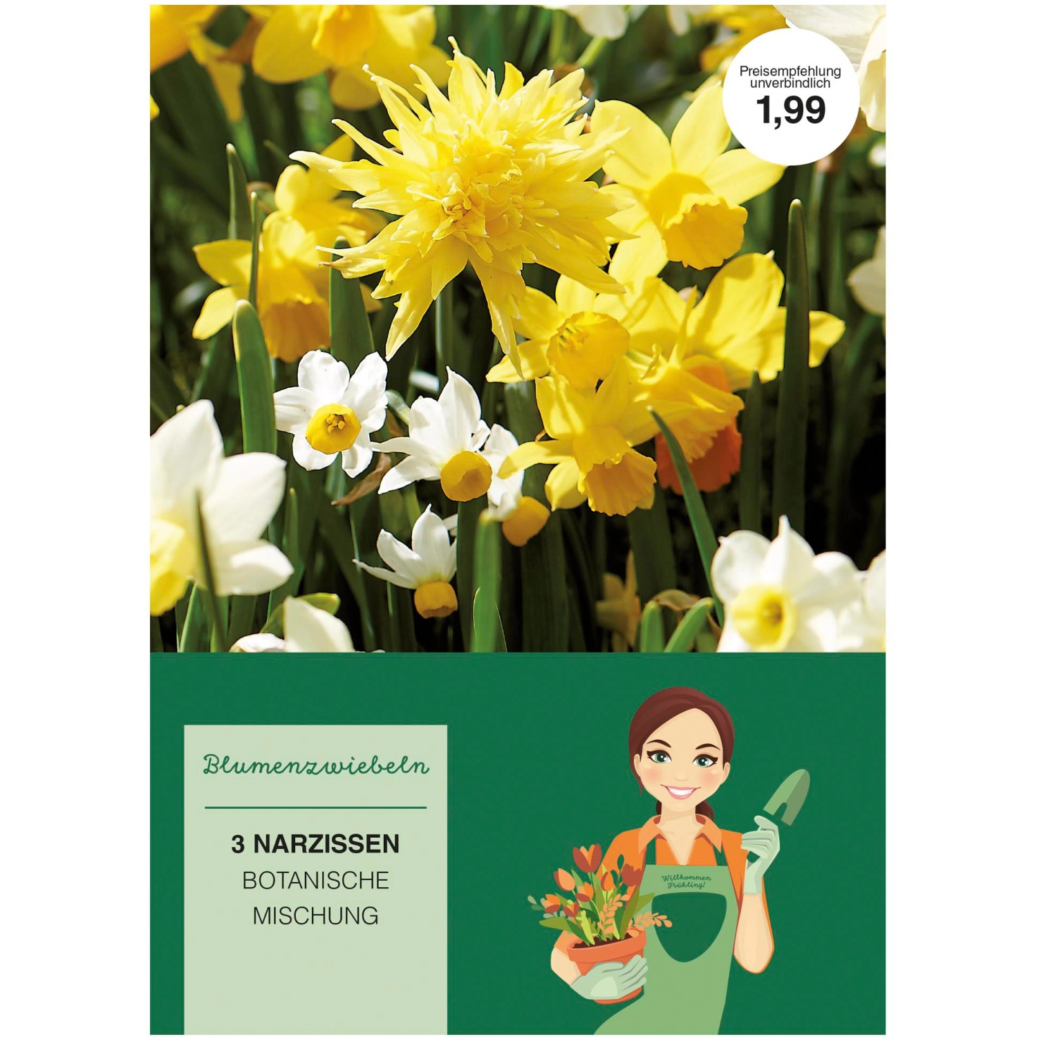 Narzissen Mischung 3 Stück Narcissus kaufen bei OBI