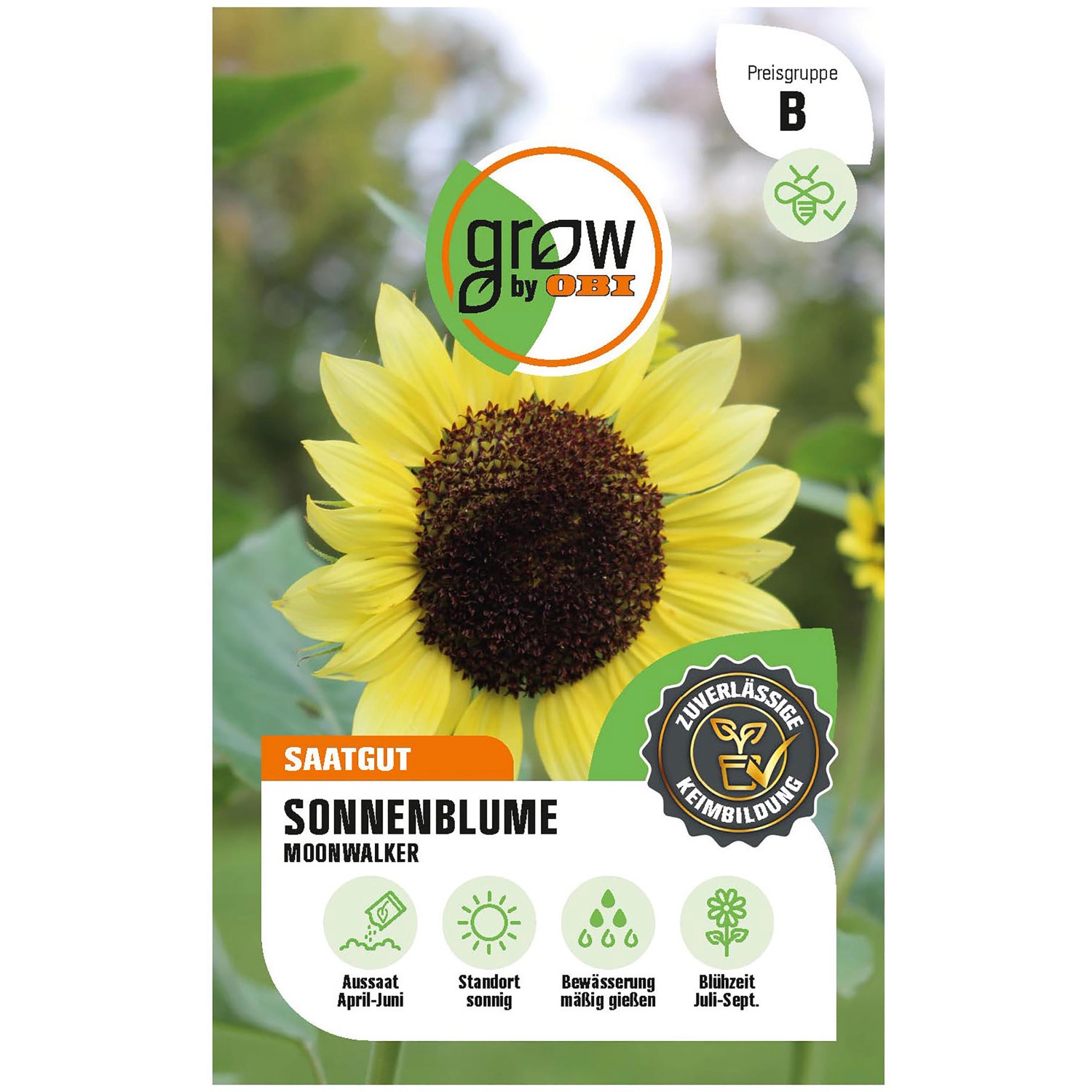 GROW by OBI Sonnenblumen Moonwalker günstig online kaufen