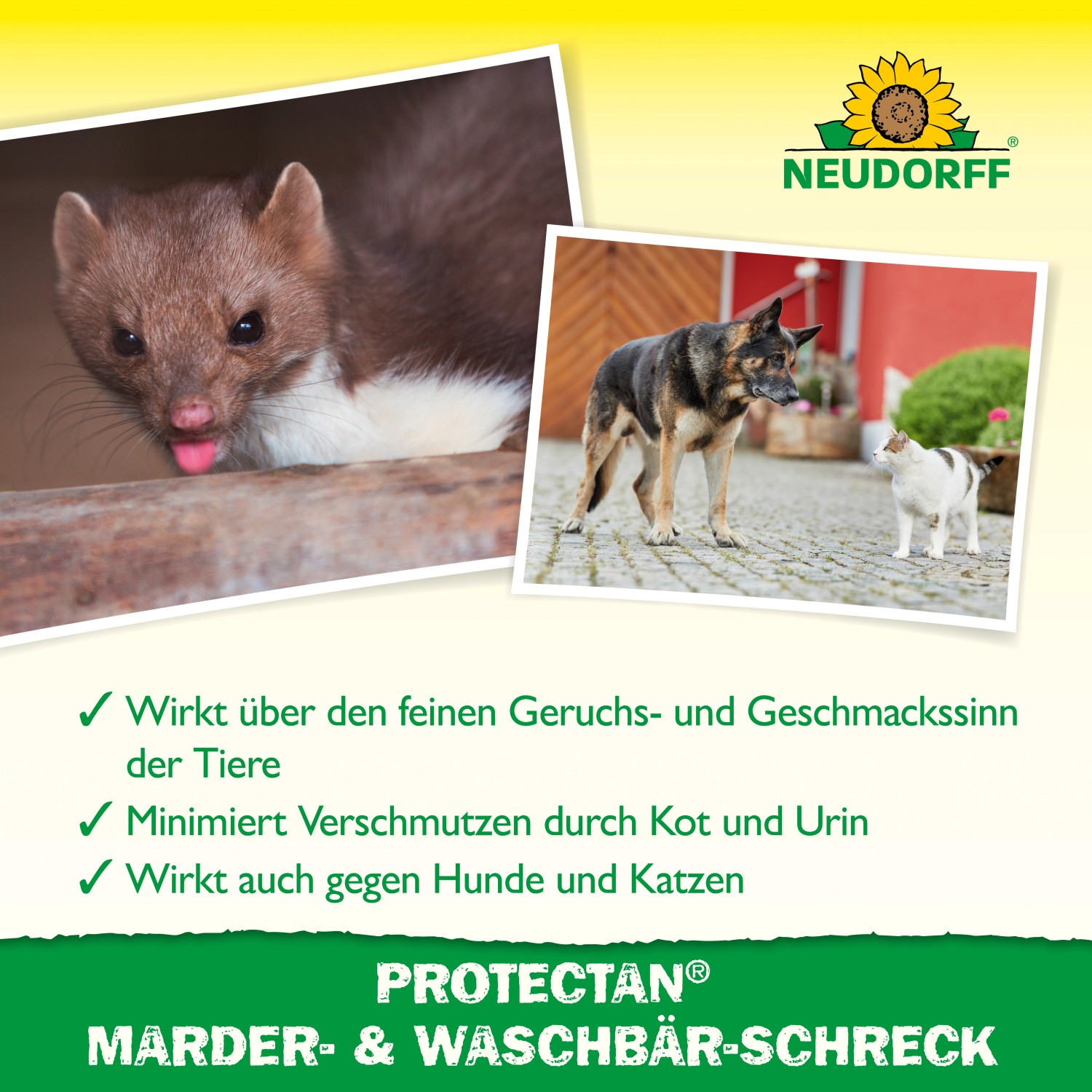 Neudorff Marder- und Waschbär-Schreck: Mittel zur Marderabwehr, wirkt auch gegen Hunde und Katzen.