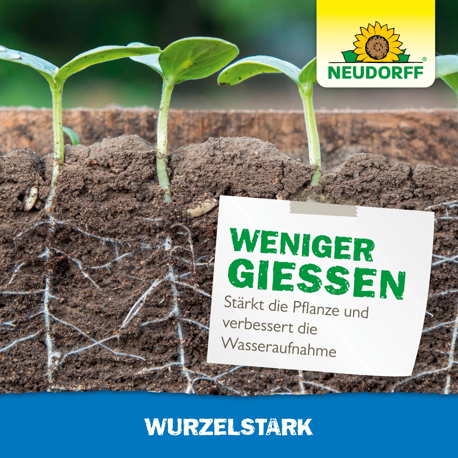 Neudorff MyccoVital Wurzelfit: Pflanzen mit starkem Wurzelwachstum und verbesserter Wasseraufnahme.