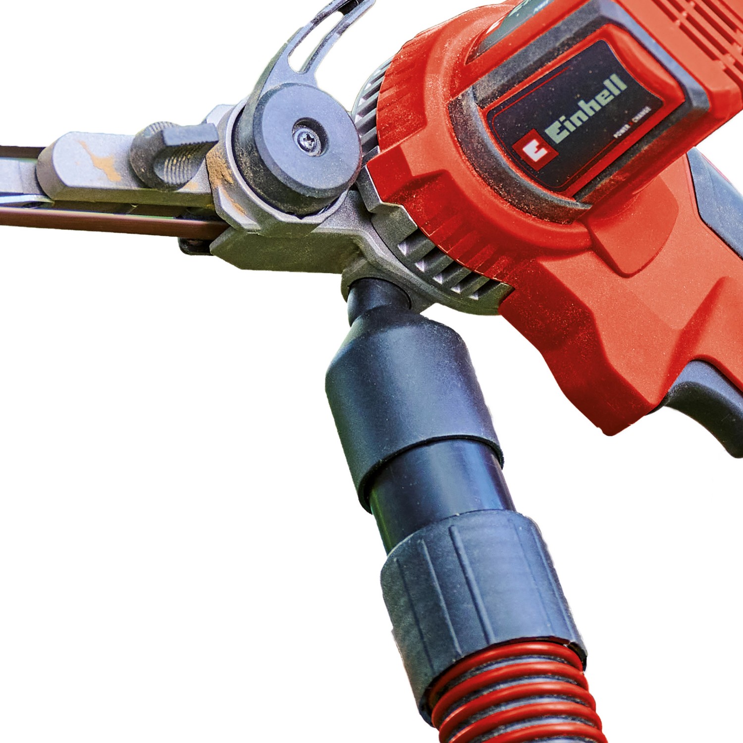 Einhell Akku-Bandfeile TE-BF 18 V Li-Solo mit Absaugadapter. Akkugerät ohne Akku.