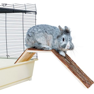 Trixie Käfigbrücke Natural Living mit Kaninchen, Rampe aus Naturholz für Käfigzubehör.