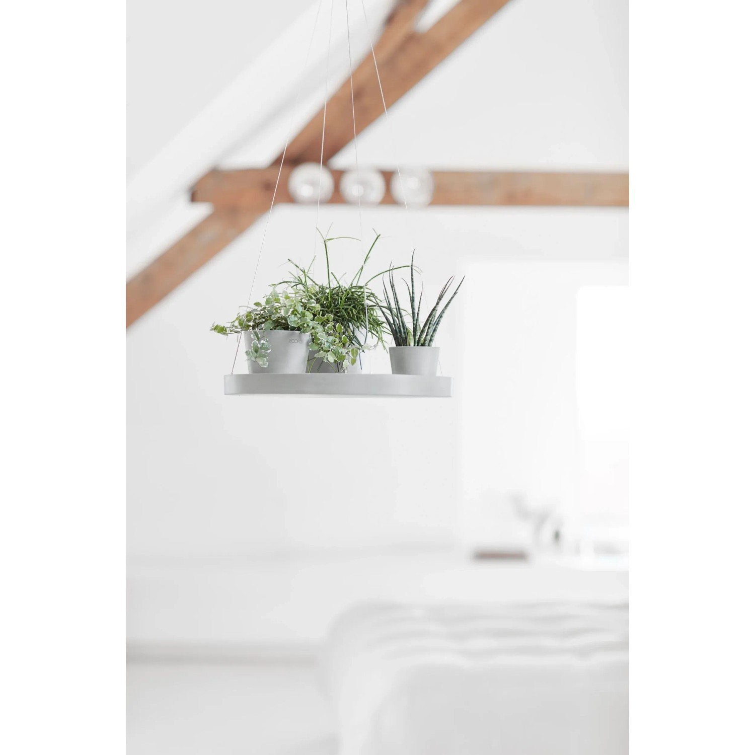 Hängender Ecopots Untersetzer in Weißgrau mit drei Pflanzen in Töpfen.