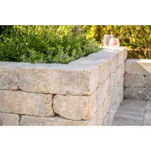 Diephaus Mauerstein Collo Muschelkalk, gestapelt als Gartenmauer mit Pflanzen.