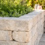 Diephaus Mauerstein Collo Muschelkalk, gestapelt als Gartenmauer mit Pflanzen.