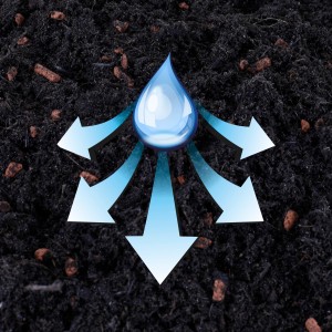 Seramis Kakteen Substrat: Wasseraufnahme und Verteilung im Spezial-Substrat für Sukkulenten.