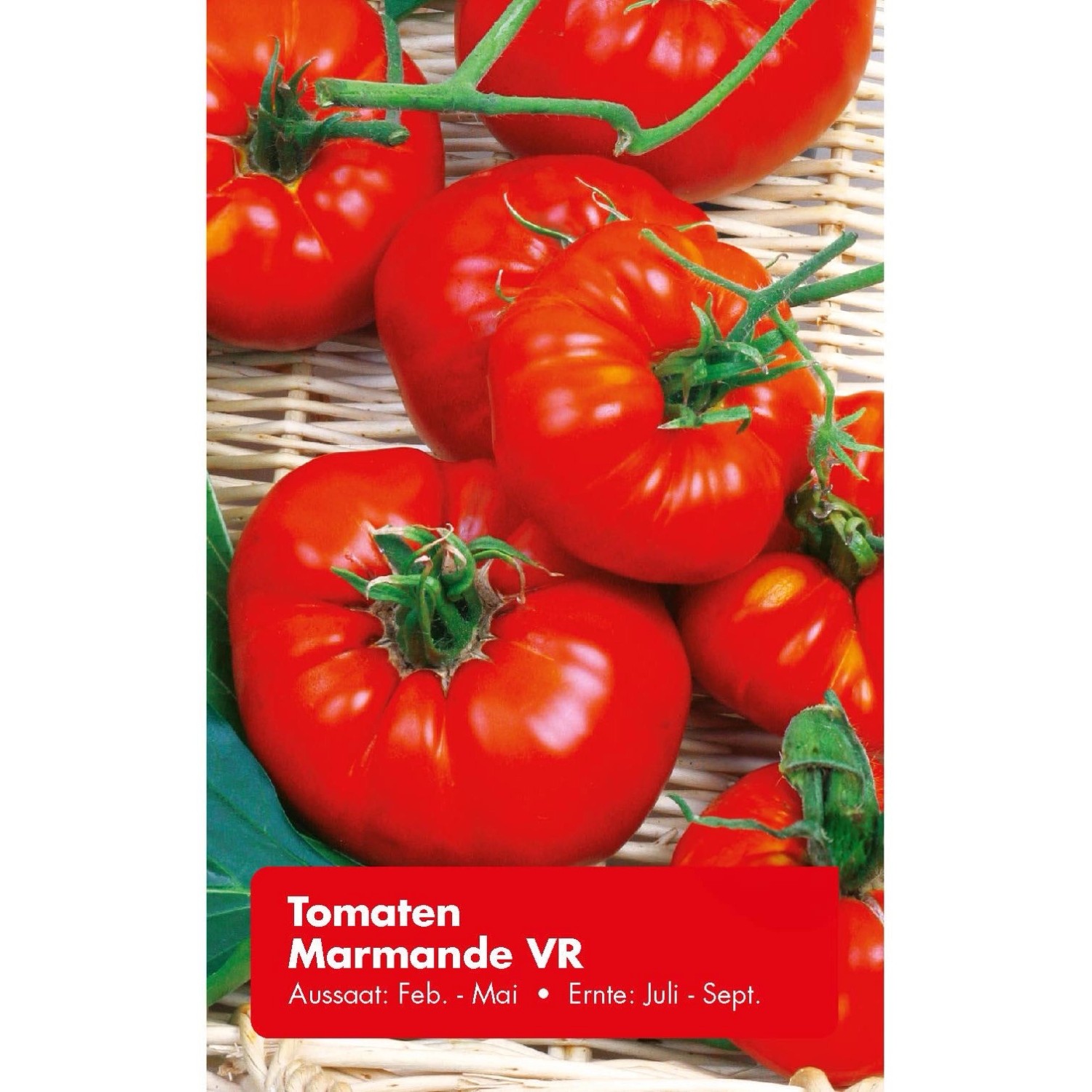 Tomate Marmande VR günstig online kaufen