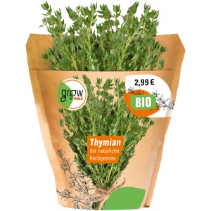 Bio Thymian (Thymus vulgaris) im Topf, Küchenkräuter von Grow by OBI.
