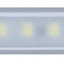 Paulmann MaxLED 1000 LED-Streifen, 1 m, weiß, beschichtet, für Innenräume.