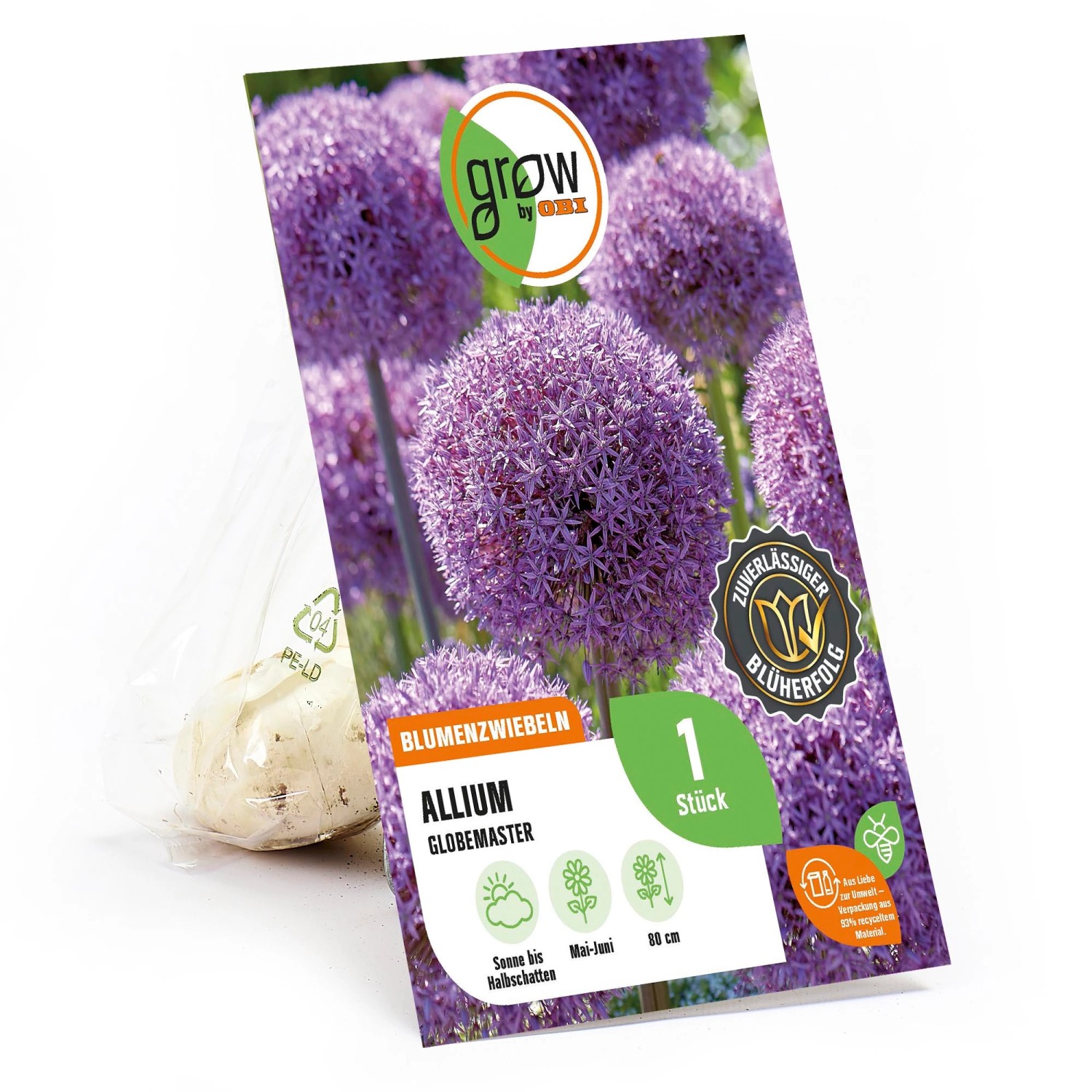 GROW by OBI Zierlauch Globemaster Purple 1 Stück Allium günstig online kaufen