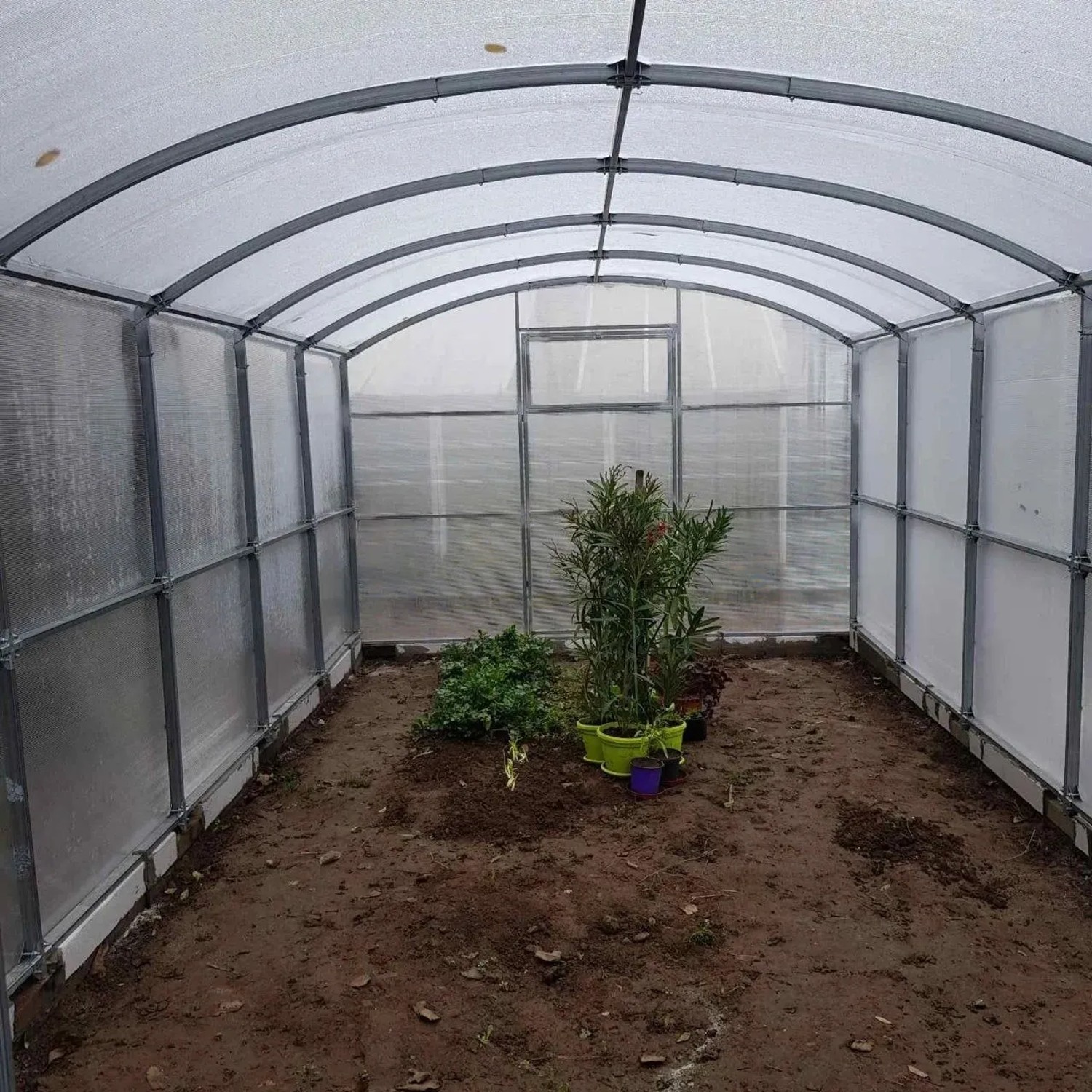 Garten Dream Gewächshaus Avalon 3x8m mit 4mm Polycarbonat_4