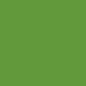 Farbfläche: Gelbgrüner Buntlack Spray (RAL 6018) von OBI, seidenglänzend.