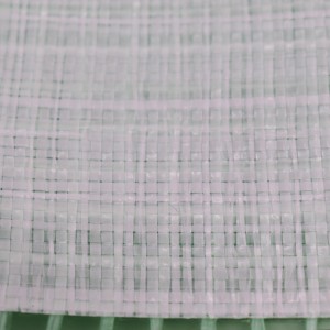 Detailaufnahme der transparenten Aquagart Gitterfolie, verstärkt mit grünem Gittergewebe.